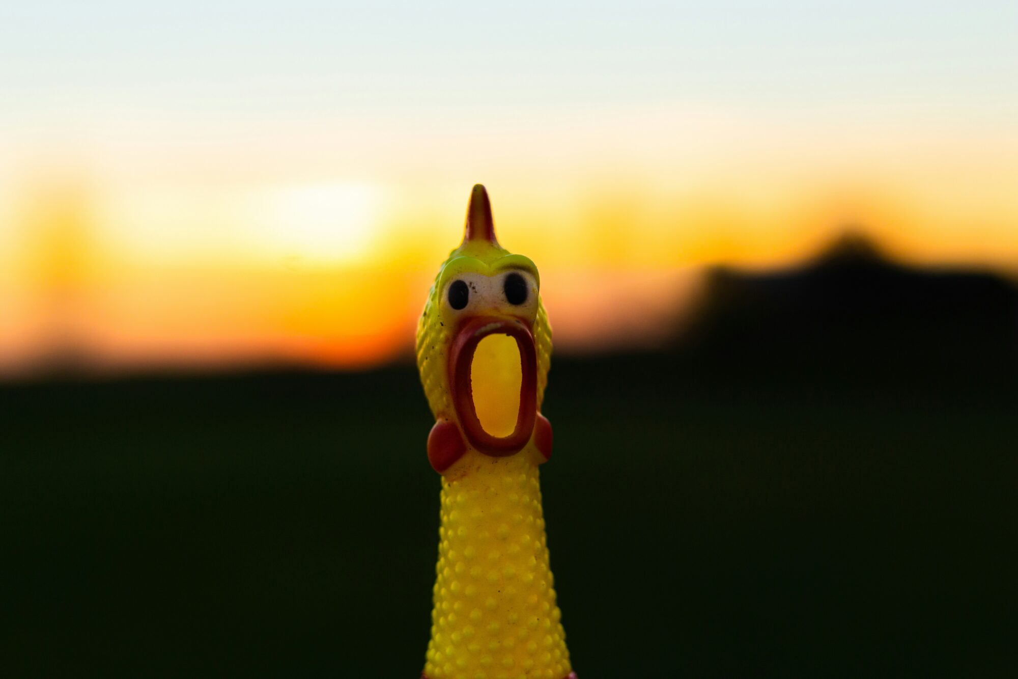 chicken toy at sunset