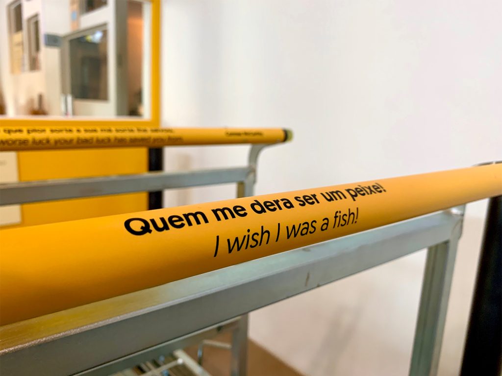 pega de um carrinho com a frase "quem me dera ser um peixe"