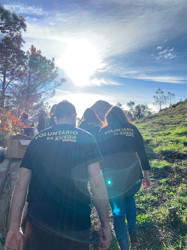 equipa kuboo na plantação anual de árvores