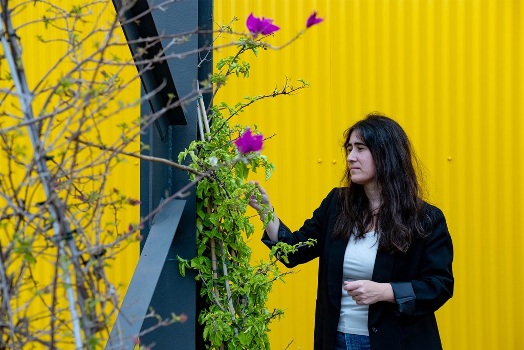 kuboodista junto a uma planta florida no exterior do armazém da Abóboda