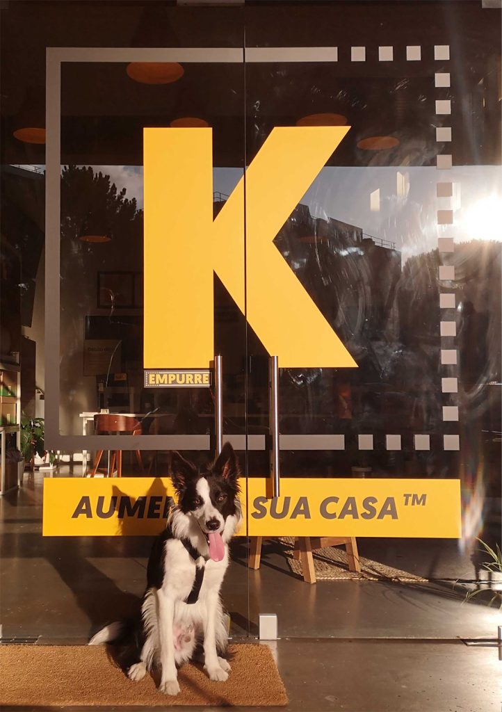 dog in front of kuboo carnaxide reception door