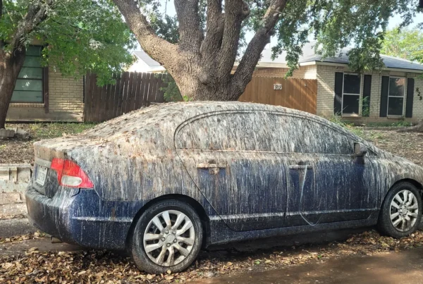 parked car covered in a thick layer of bird poop