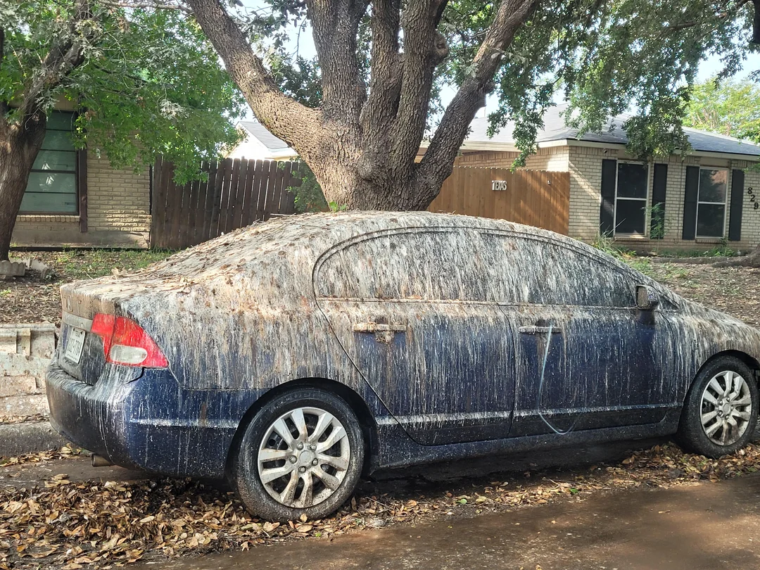 parked car covered in a thick layer of bird poop